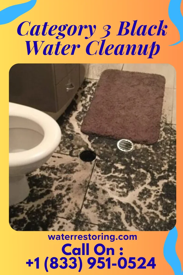 Category 3 Black Water Cleanup in Waterville, IA