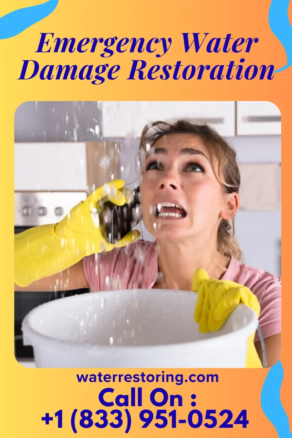 Emergency Water Damage Restoration in Waterville, IA