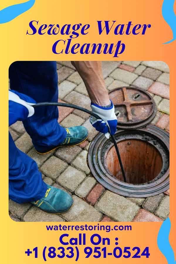 Sewage Water Cleanup in Waterville, IA